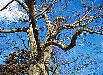 《英雄传说：空之轨迹 重制版》新情报 全新绘制3D模型