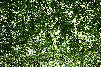 《漫威蜘蛛侠2》提供30＆40＆60FPS模式 均带有光追