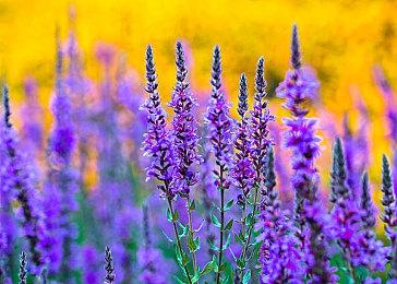 雷蛇游戏本升级配置：全系预装WIN11 采用DDR5内存