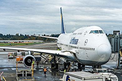 被骂后顽皮狗画师又画了一张《星刃》女主图